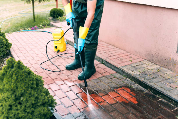 Local Pressure Washing Services in Hemlock, MI