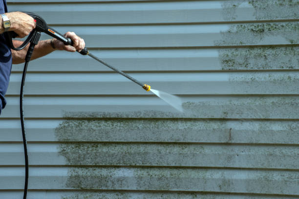 Best Deck Cleaning Services  in Hemlock, MI