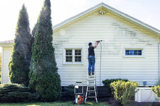  Hemlock, MI Pressure Washing Pros