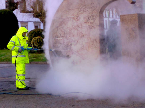 Best Pressure Washing Near Me  in Hemlock, MI