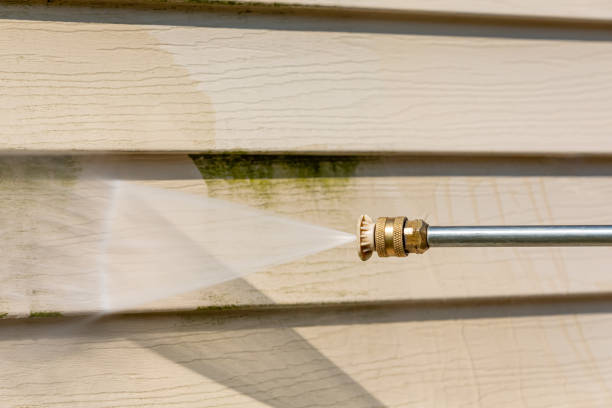 Best Roof Power Washing Services  in Hemlock, MI